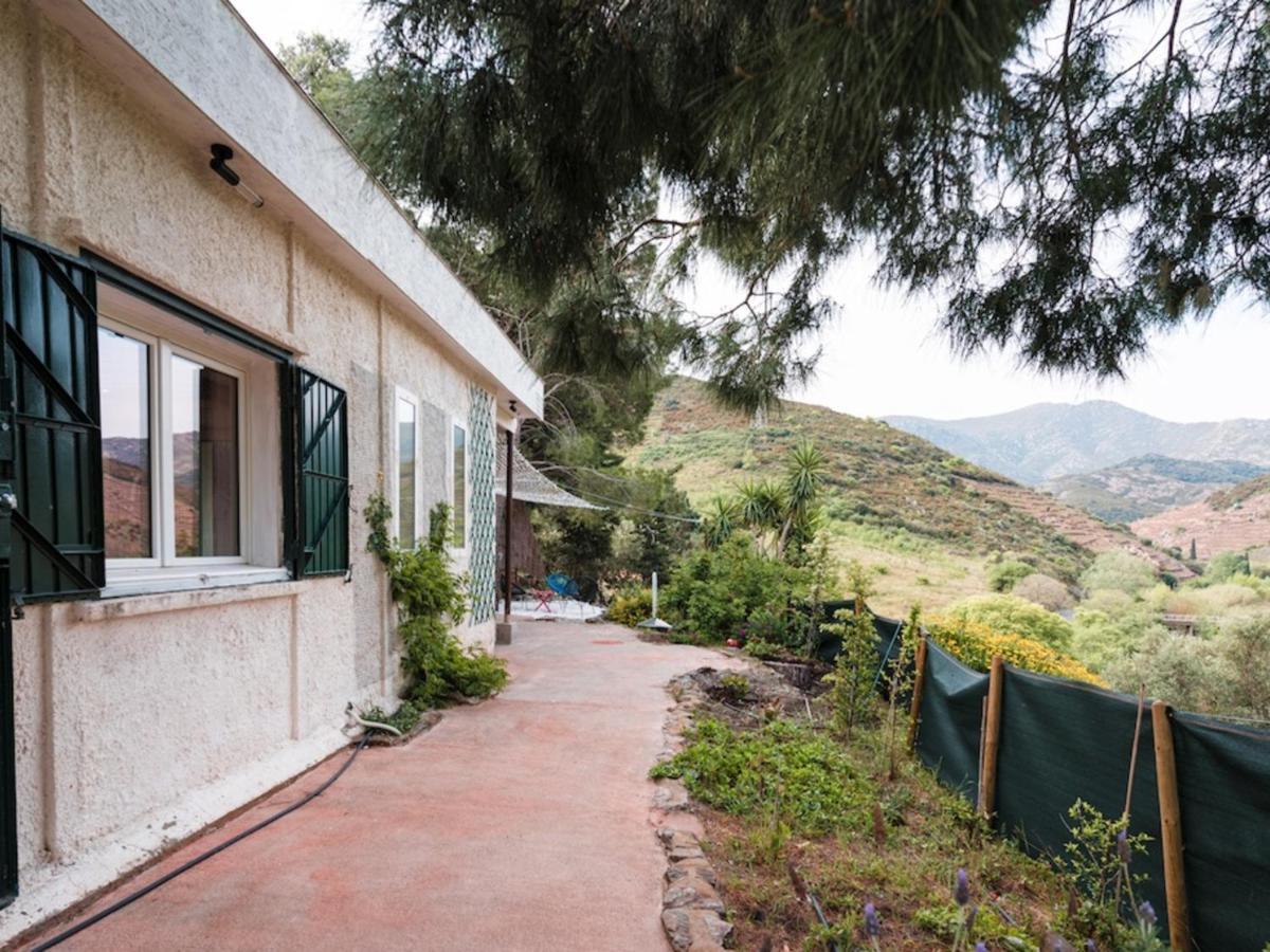 Maison F2 Independante Avec Terrasse, Climatisation Et Wifi A Banyuls-Sur-Mer - Fr-1-309-262 Bagian luar foto